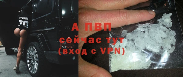 хмурый Гусев