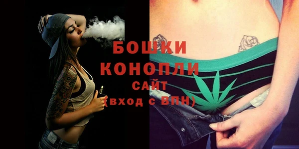 хмурый Гусев