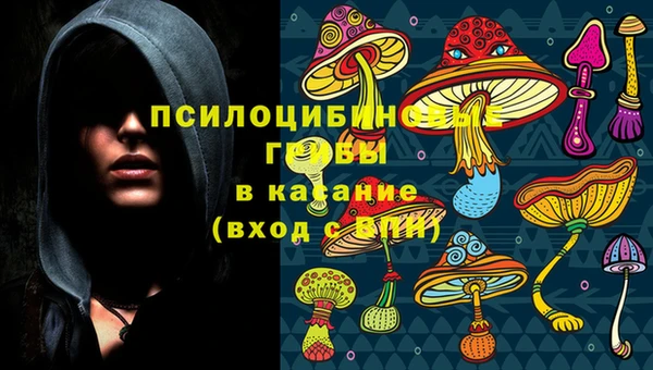 хмурый Гусев