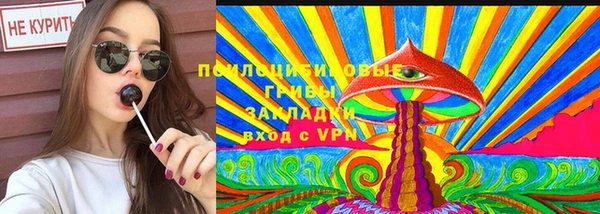 хмурый Гусев