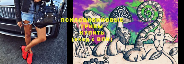 хмурый Гусев