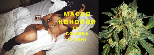 дурь Гусиноозёрск