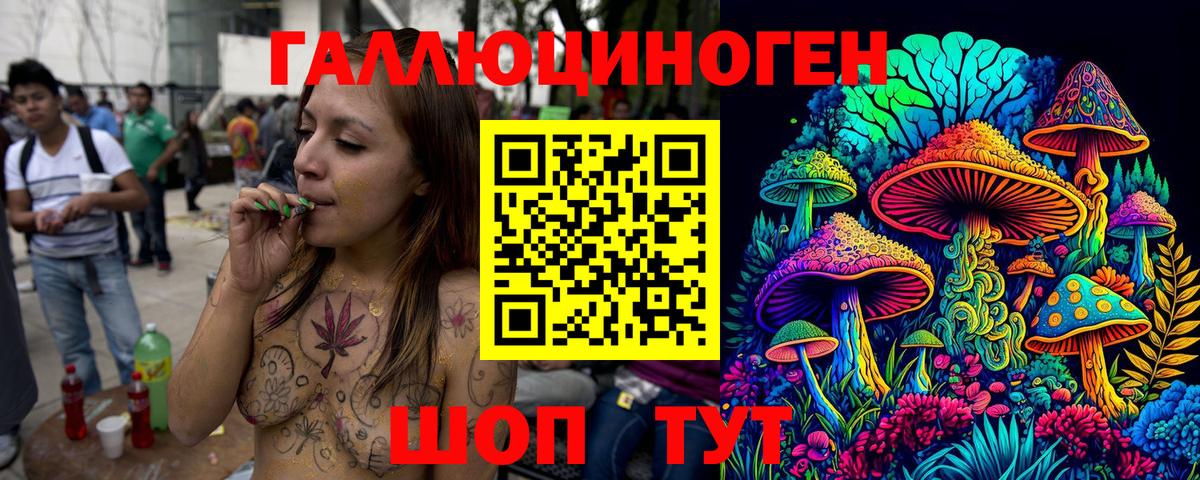 Псилоцибиновые грибы GOLDEN TEACHER  Дивногорск 