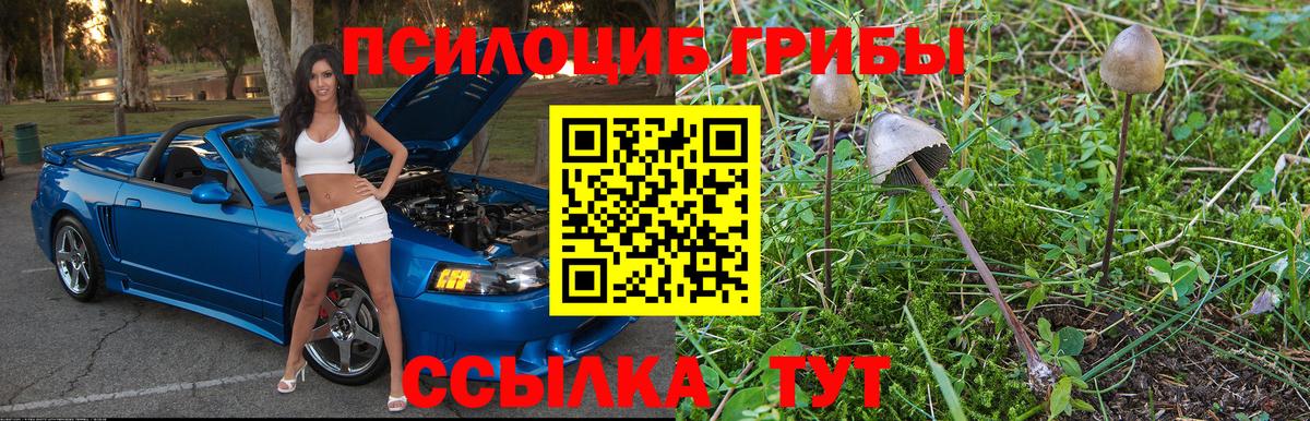 Дивногорск  Галлюциногенные грибы прущие грибы  Вход с VPN  Псилоцибиновые грибы прущие грибы 